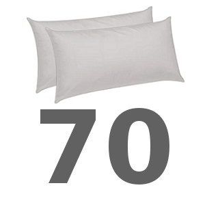 Comprar Almohadas de 70 Online